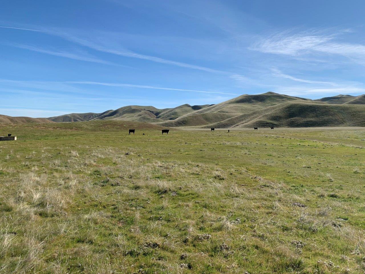 0 Little Panoche Road Firebaugh, CA 93622 - Photo 60 of 65 a view of an ocean