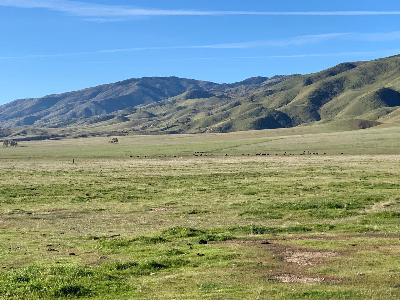 0 Little Panoche Road Firebaugh, CA 93622 - Photo 7 of 65 a view of an ocean