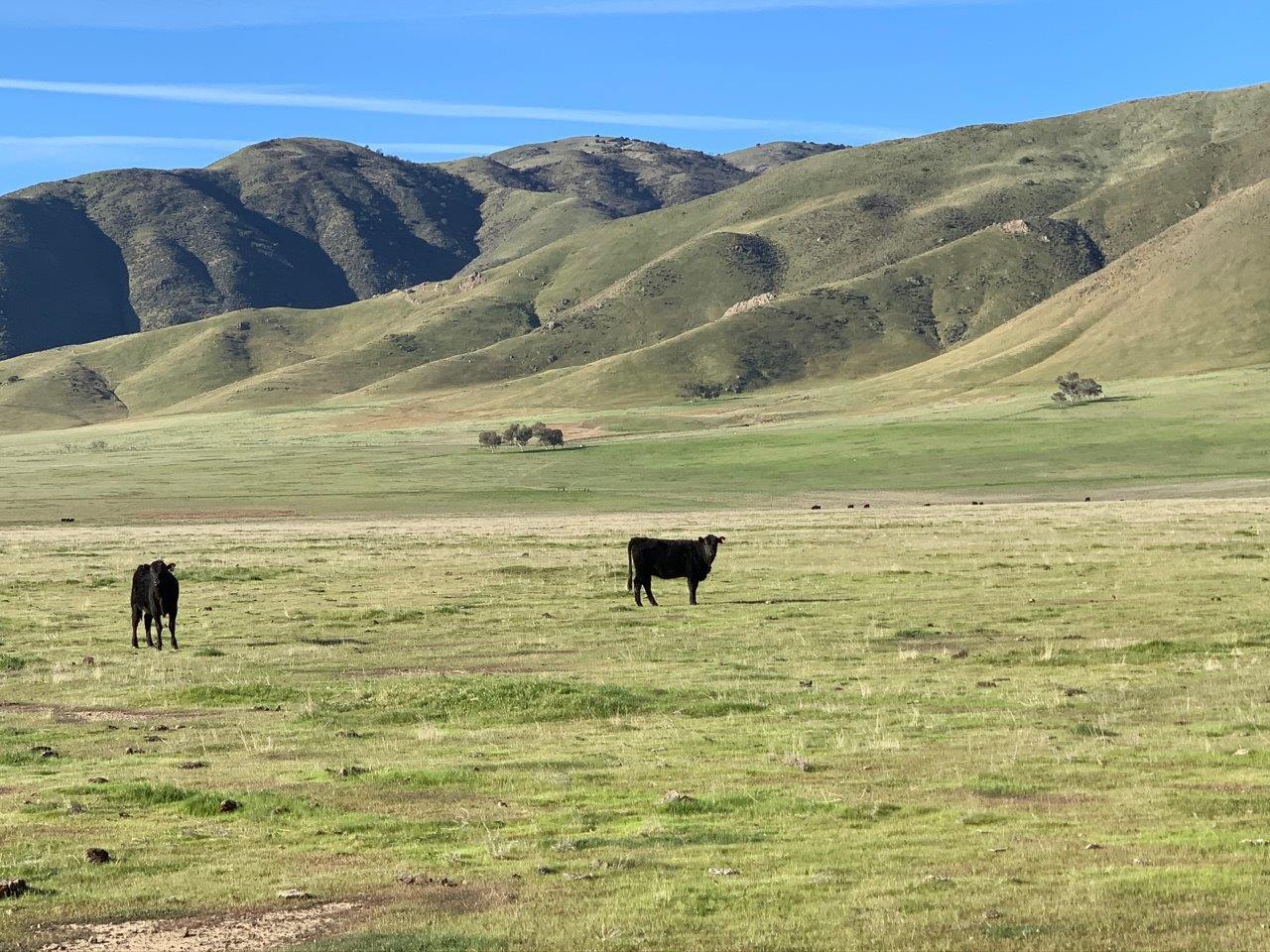 0 Little Panoche Road Firebaugh, CA 93622 - Photo 8 of 65