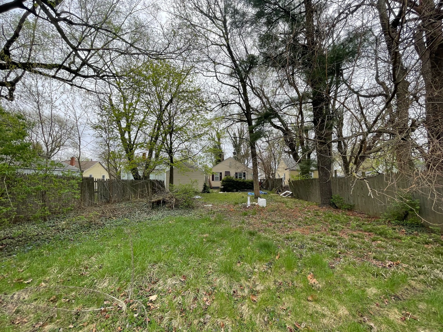 1536 East Division Street Decatur, IL 62526 - Photo 10 of 13 a view of backyard with tree