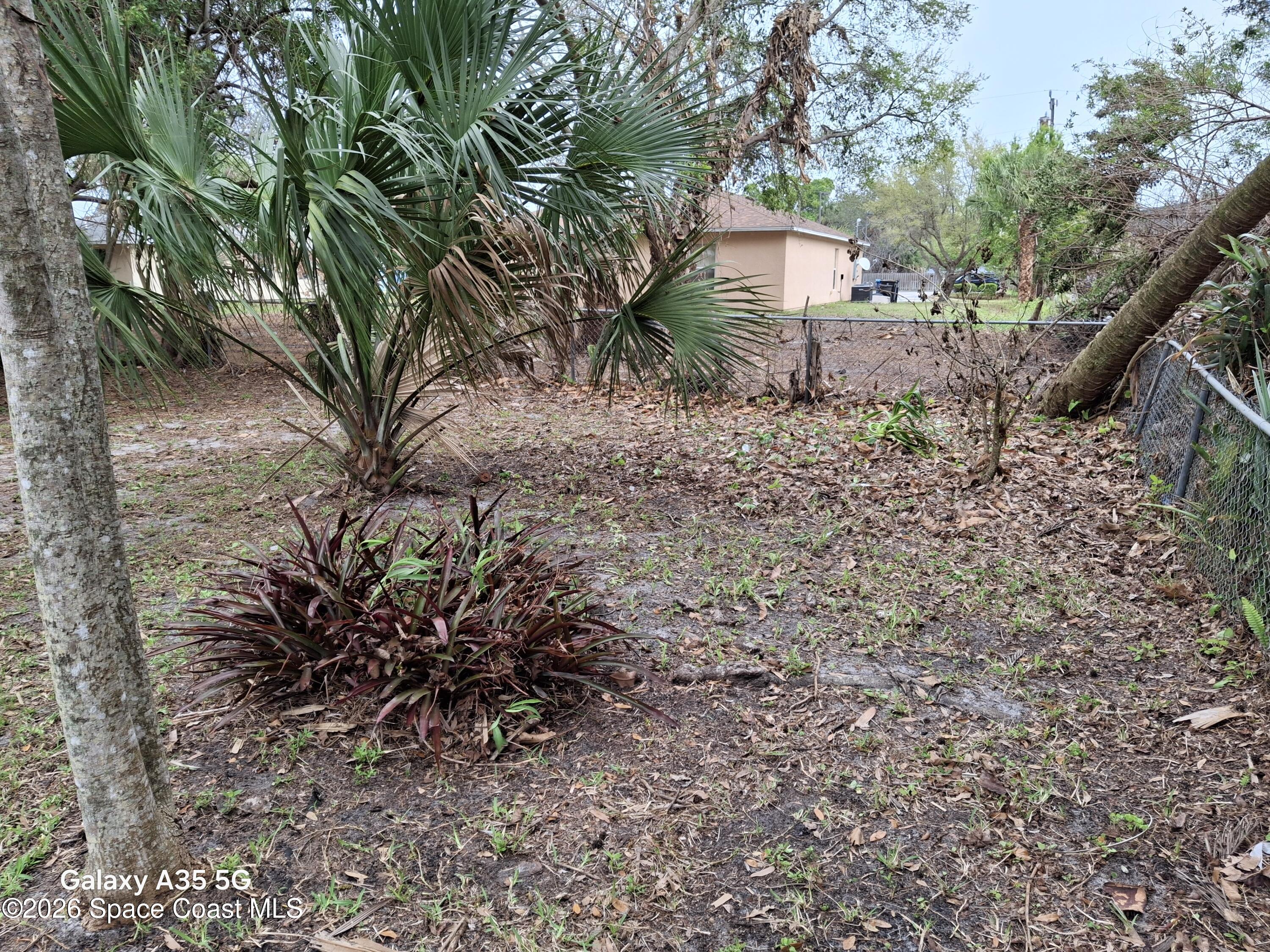 2263 Monroe Street Melbourne, FL 32905 - Photo 7 of 15 a backyard of a house with lots of green space
