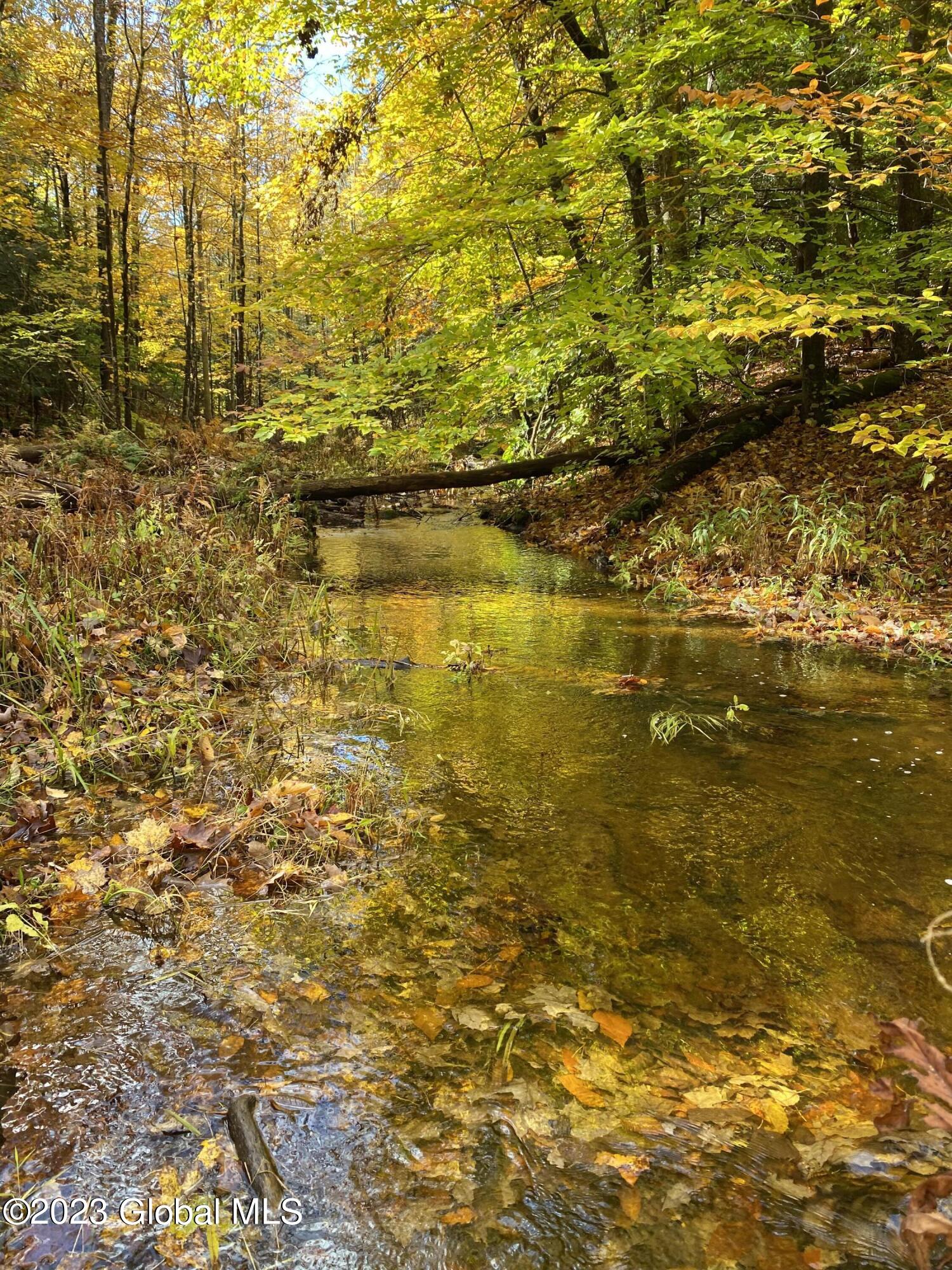 L17 Seneca Ridge Drive Broadalbin, NY 12025 - Photo 11 of 18 IMG-7717