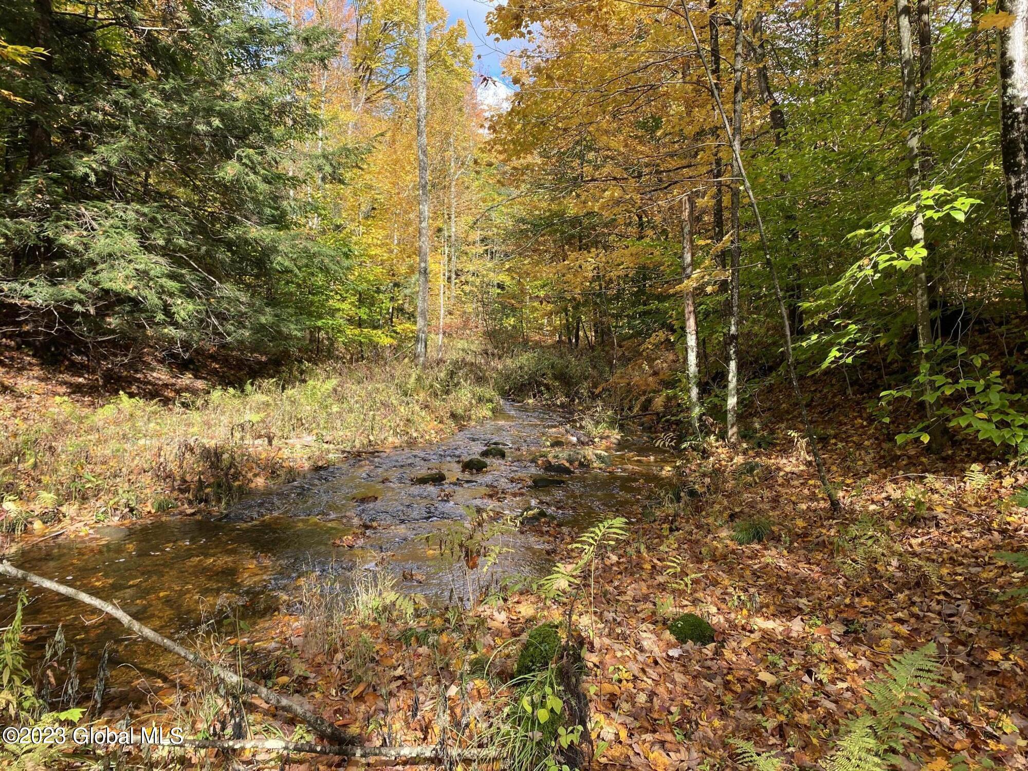 L17 Seneca Ridge Drive Broadalbin, NY 12025 - Photo 12 of 18 IMG-7726