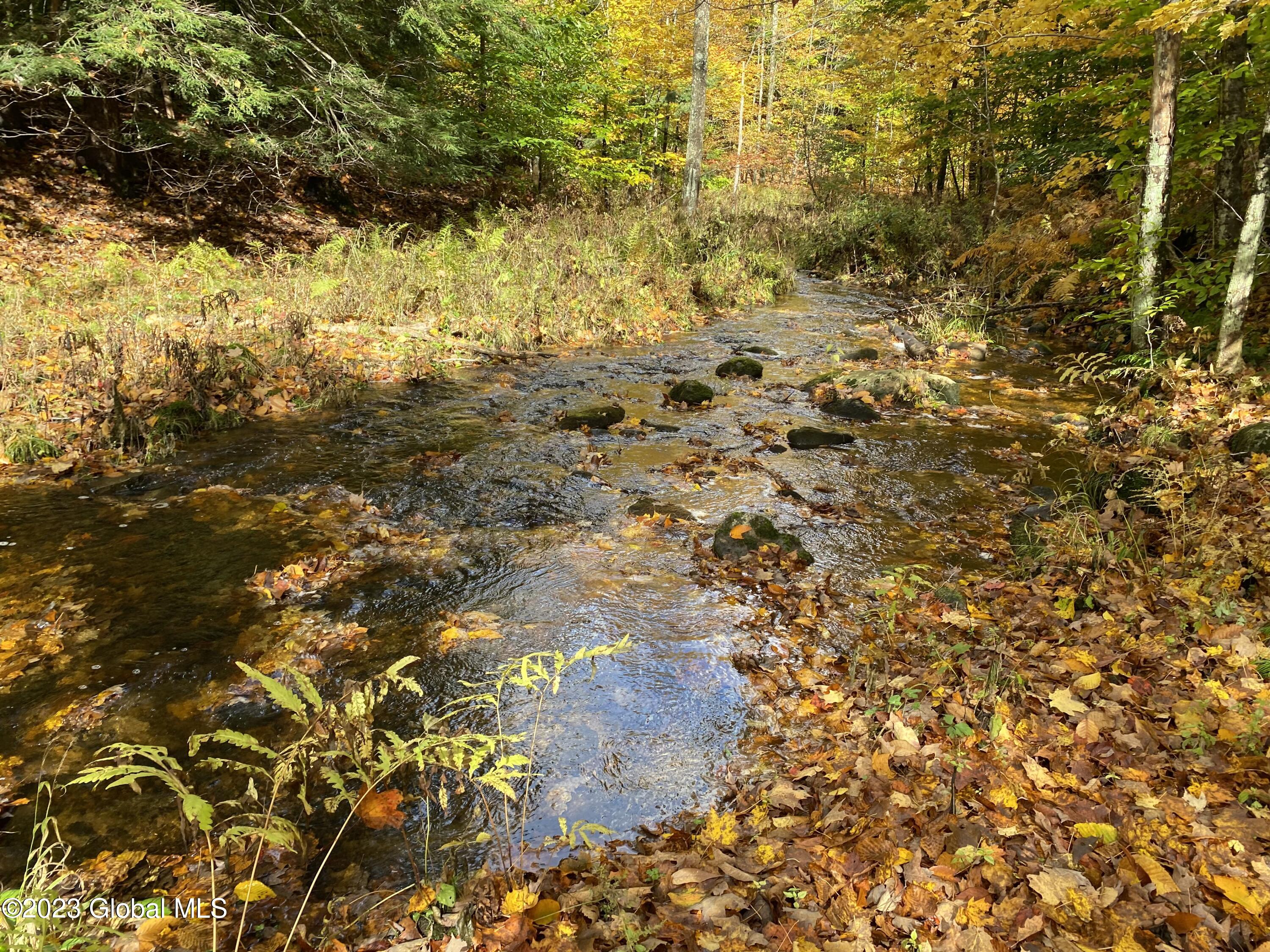 L17 Seneca Ridge Drive Broadalbin, NY 12025 - Photo 13 of 18 IMG-7727