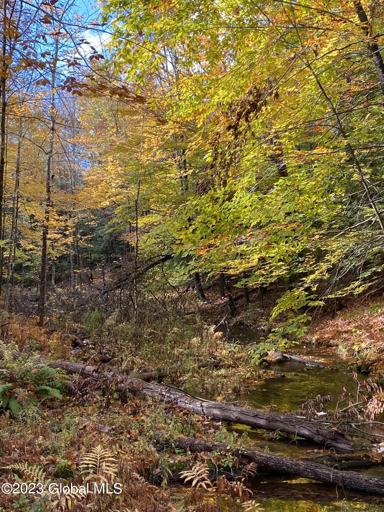 L17 Seneca Ridge Drive Broadalbin, NY 12025 - Photo 14 of 18 IMG-7730