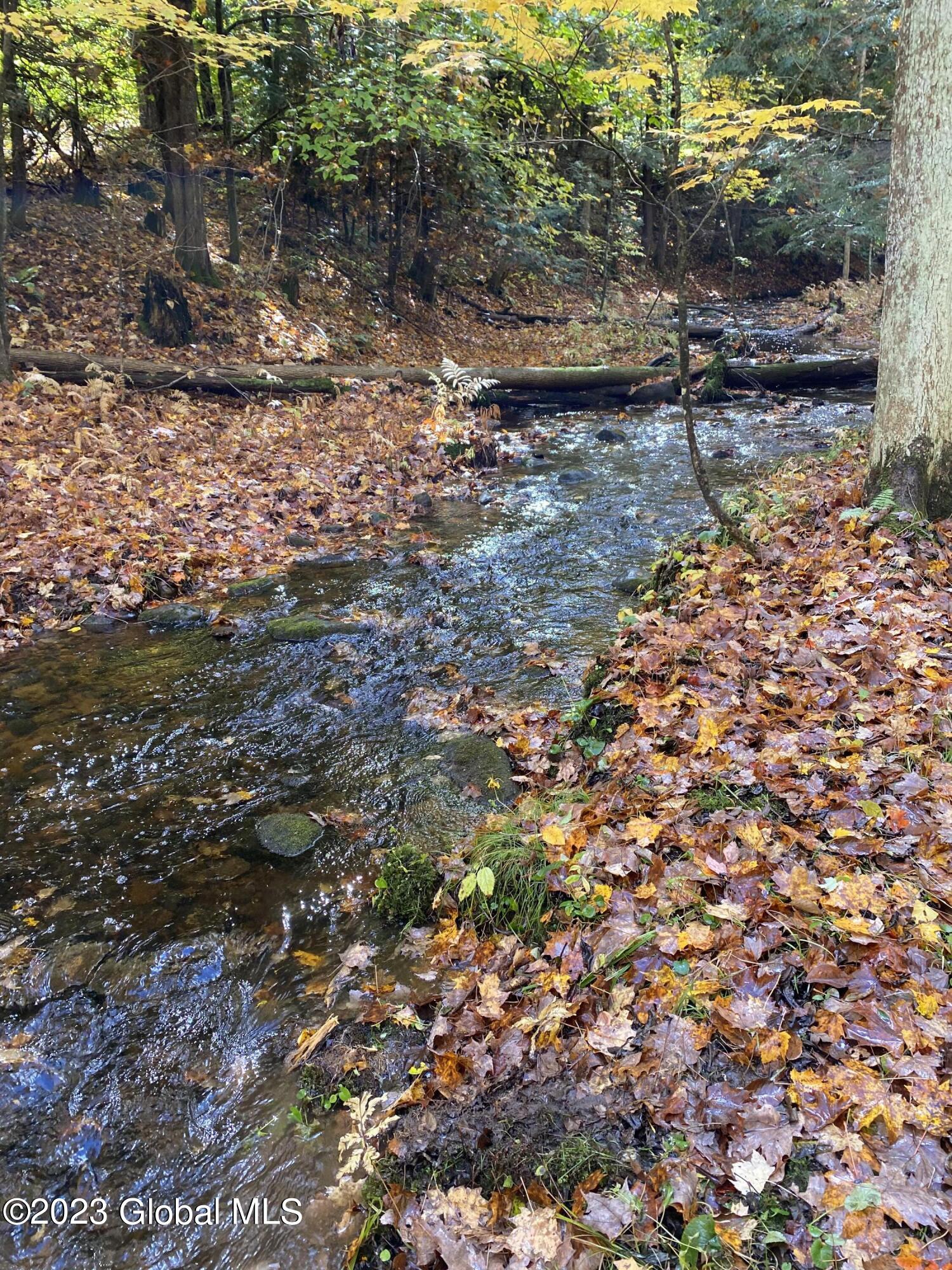 L17 Seneca Ridge Drive Broadalbin, NY 12025 - Photo 15 of 18 IMG-7749