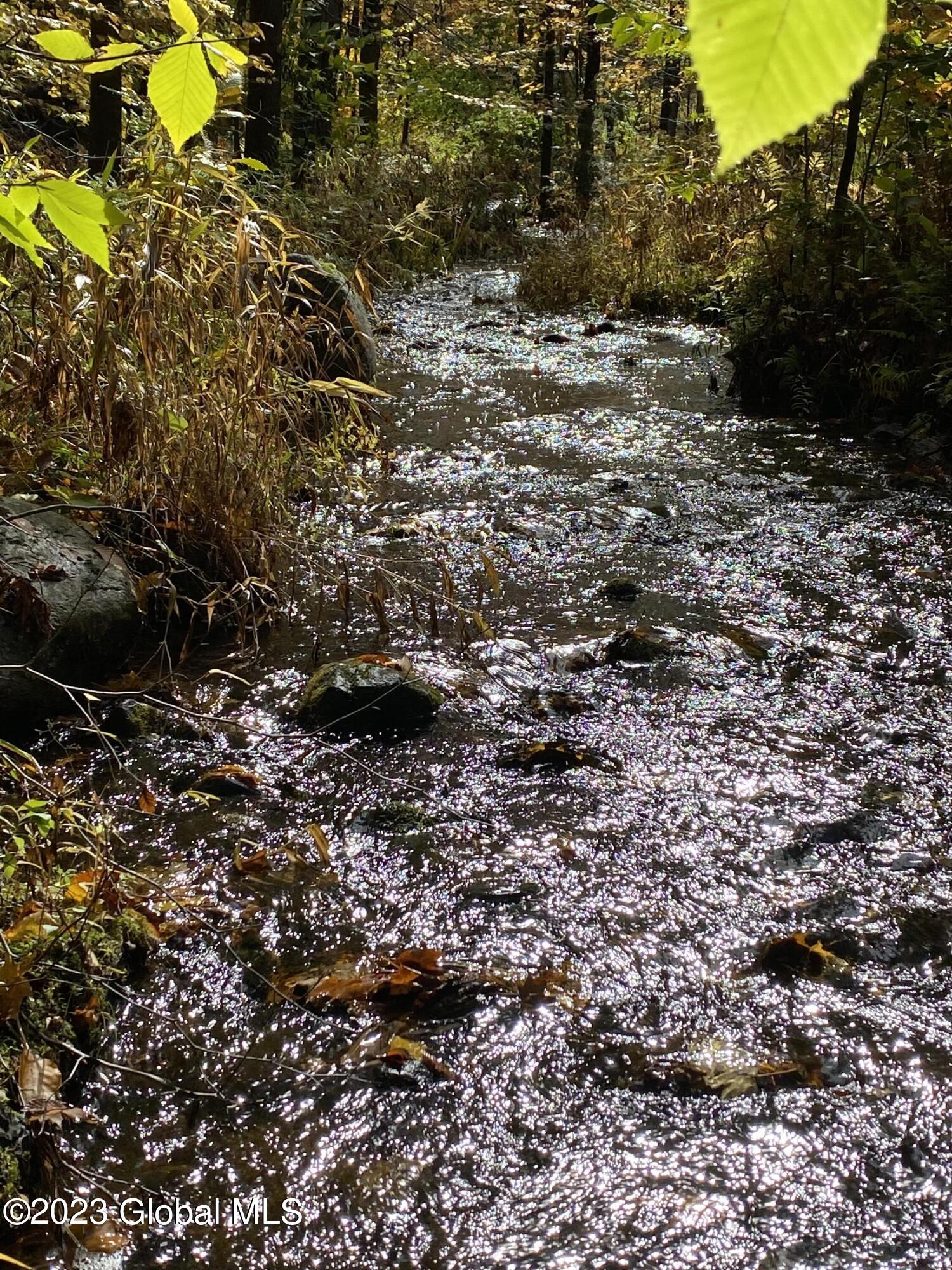 L17 Seneca Ridge Drive Broadalbin, NY 12025 - Photo 17 of 18 IMG-7759