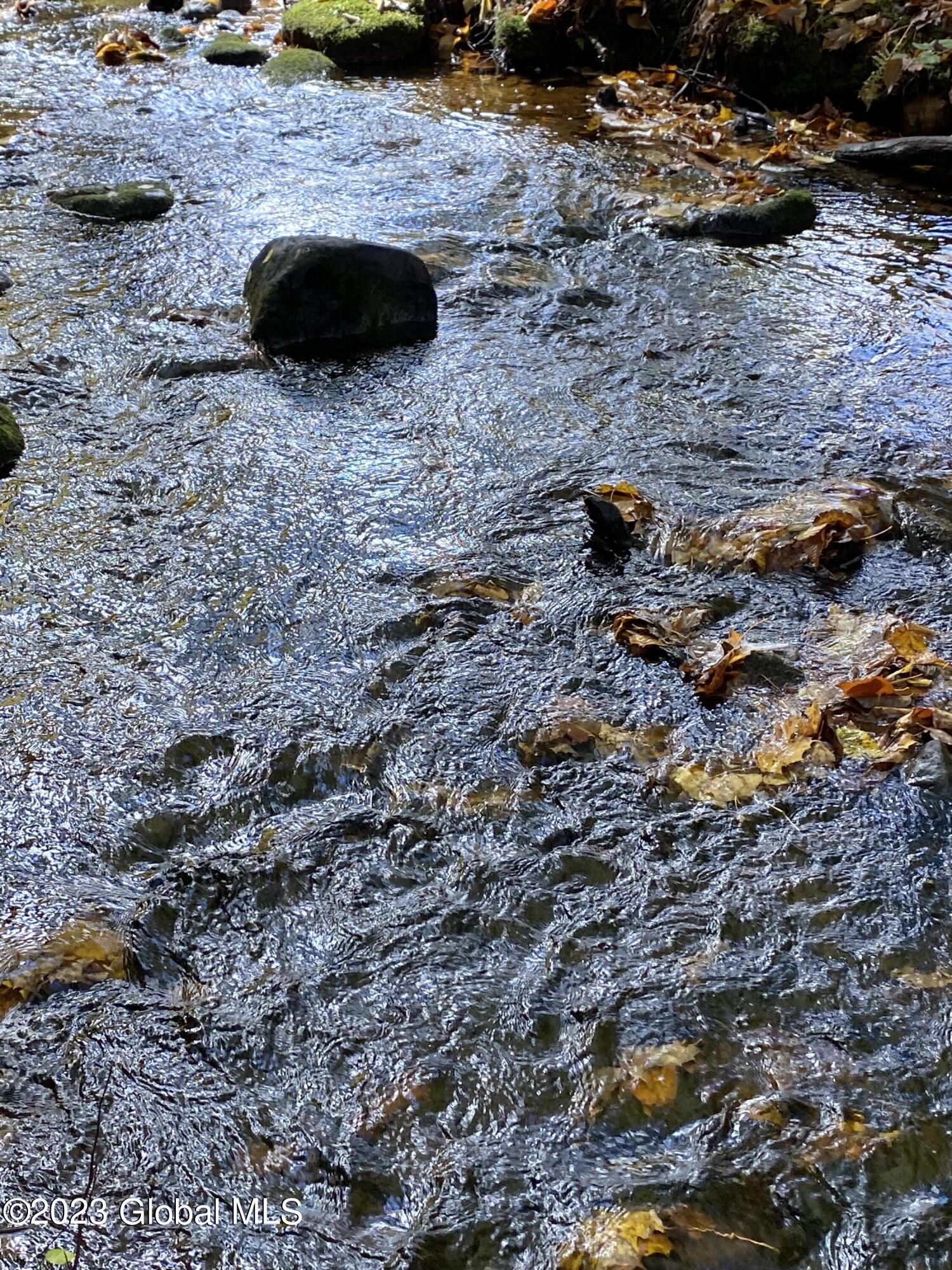 L17 Seneca Ridge Drive Broadalbin, NY 12025 - Photo 18 of 18 IMG-7762