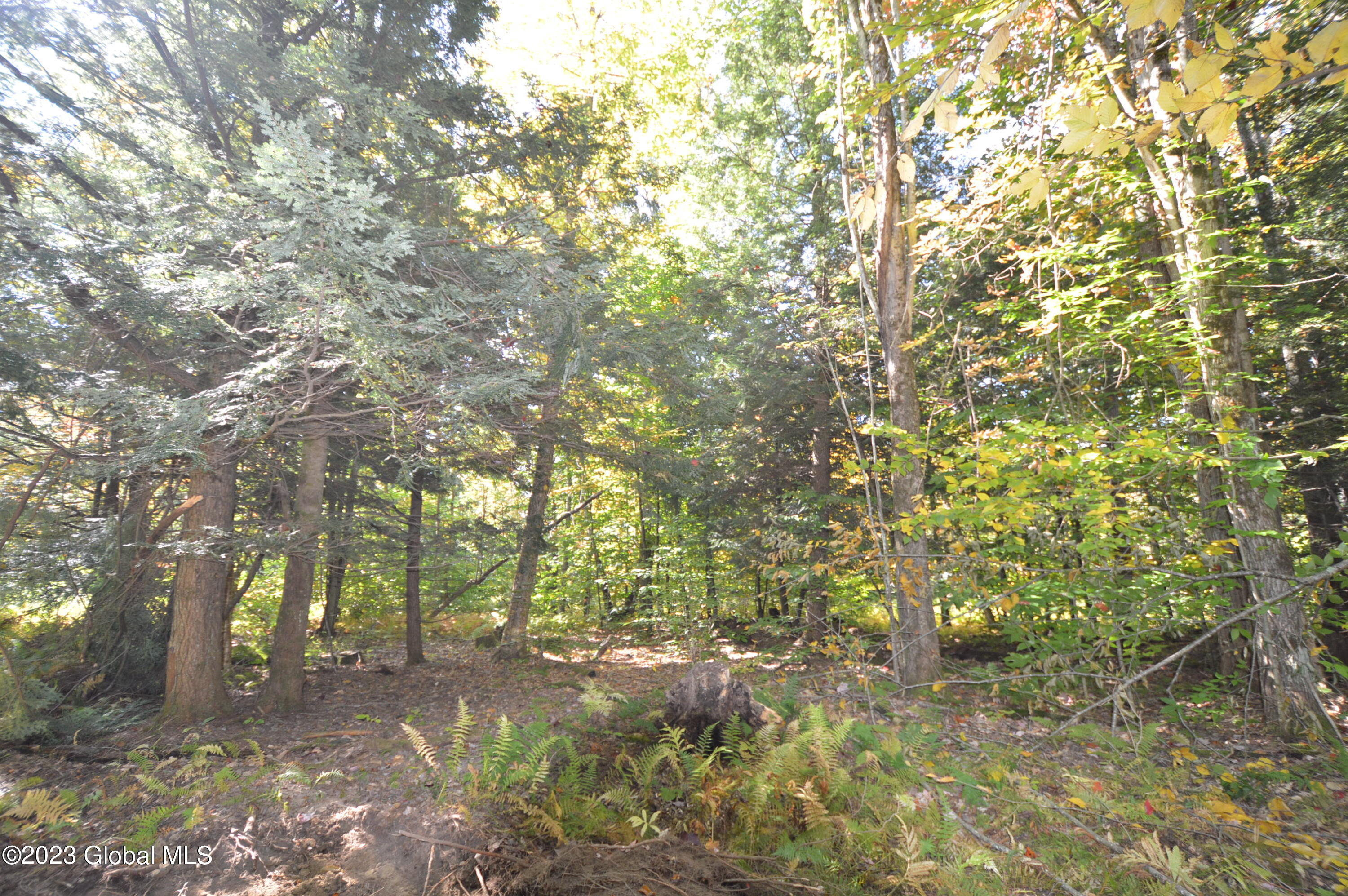 L17 Seneca Ridge Drive Broadalbin, NY 12025 - Photo 2 of 18 DSC_0595