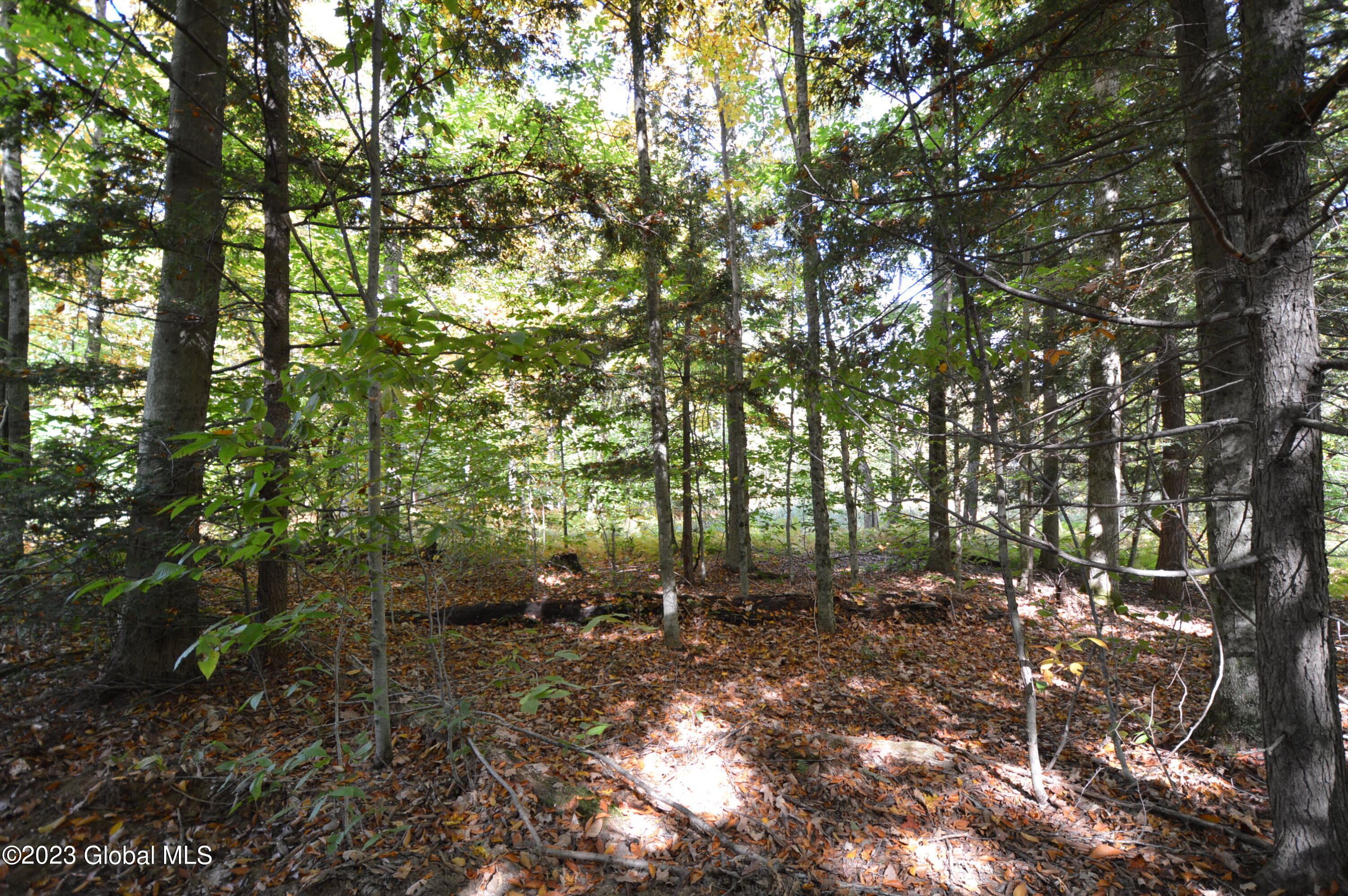 L17 Seneca Ridge Drive Broadalbin, NY 12025 - Photo 3 of 18 DSC_0600