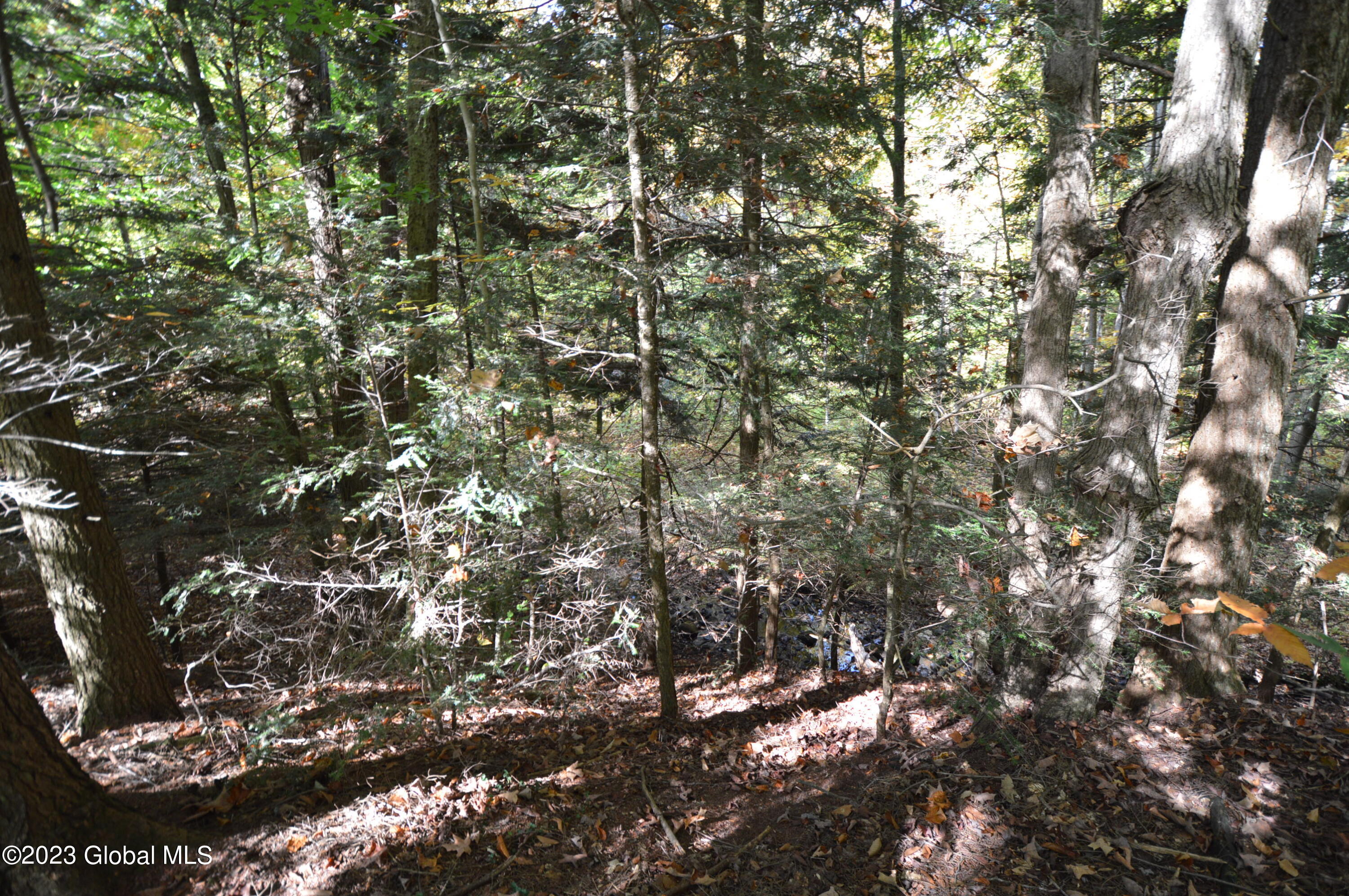 L17 Seneca Ridge Drive Broadalbin, NY 12025 - Photo 4 of 18 DSC_0606