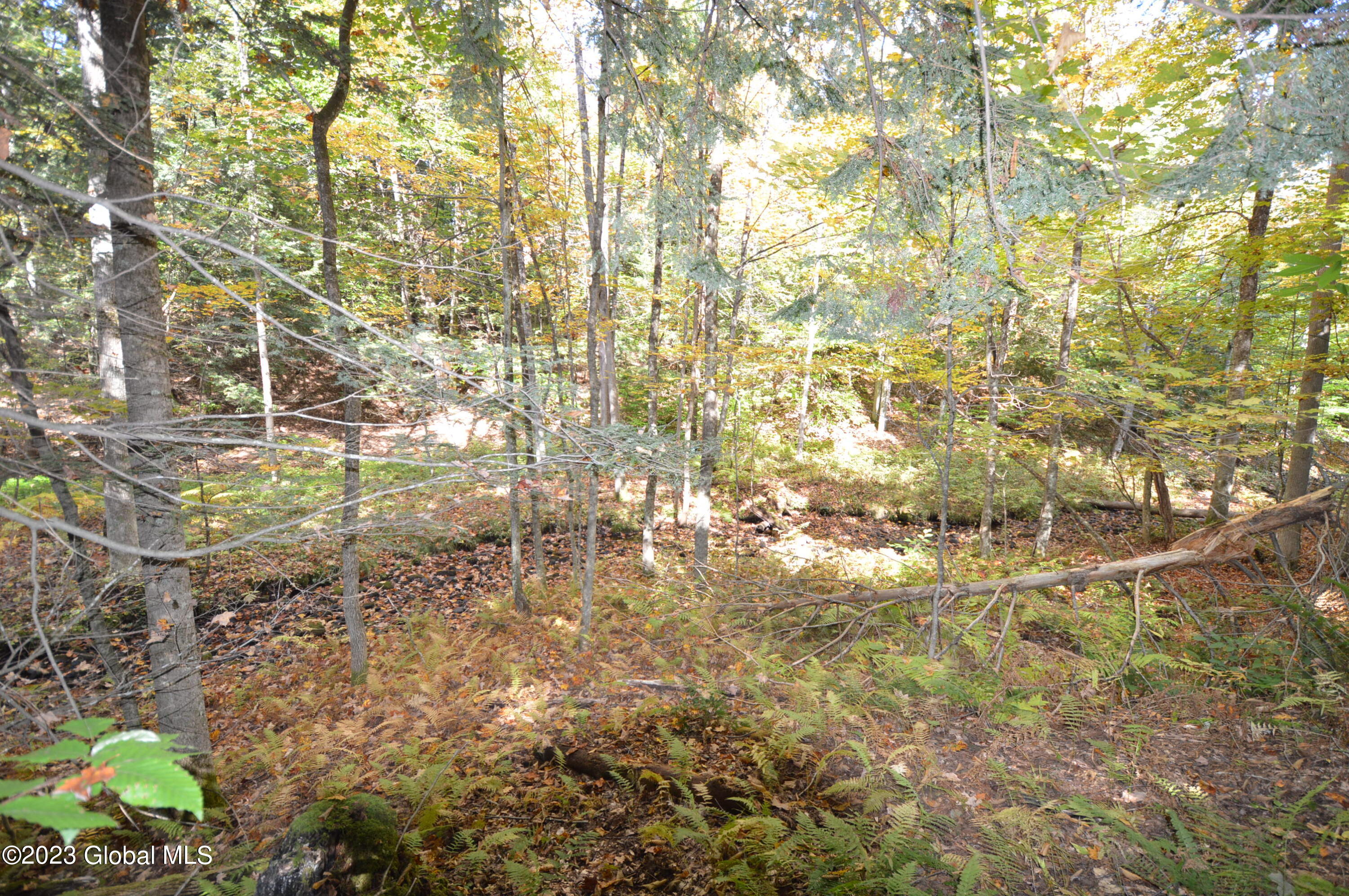 L17 Seneca Ridge Drive Broadalbin, NY 12025 - Photo 5 of 18 DSC_0607