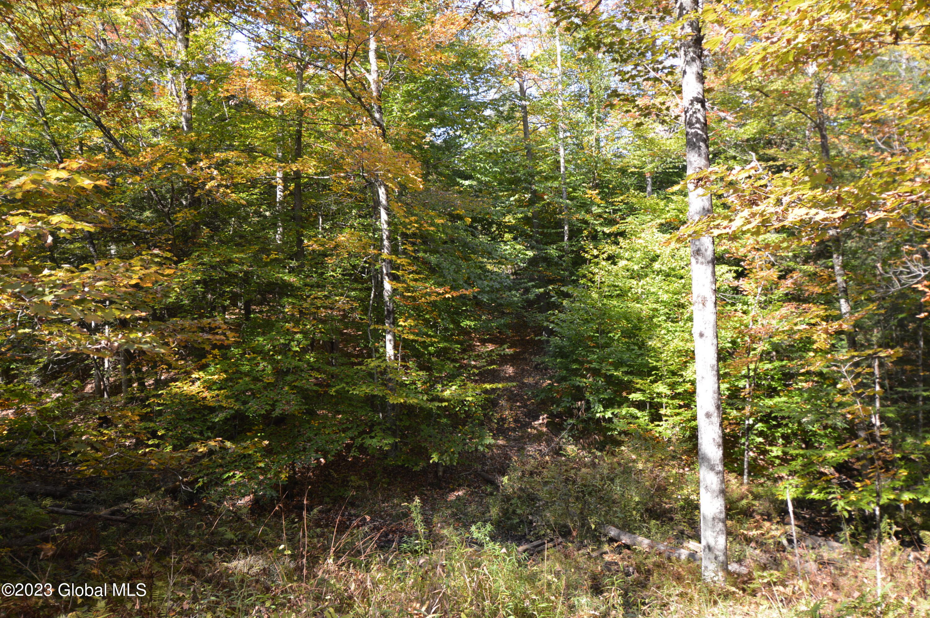 L17 Seneca Ridge Drive Broadalbin, NY 12025 - Photo 6 of 18 DSC_0608