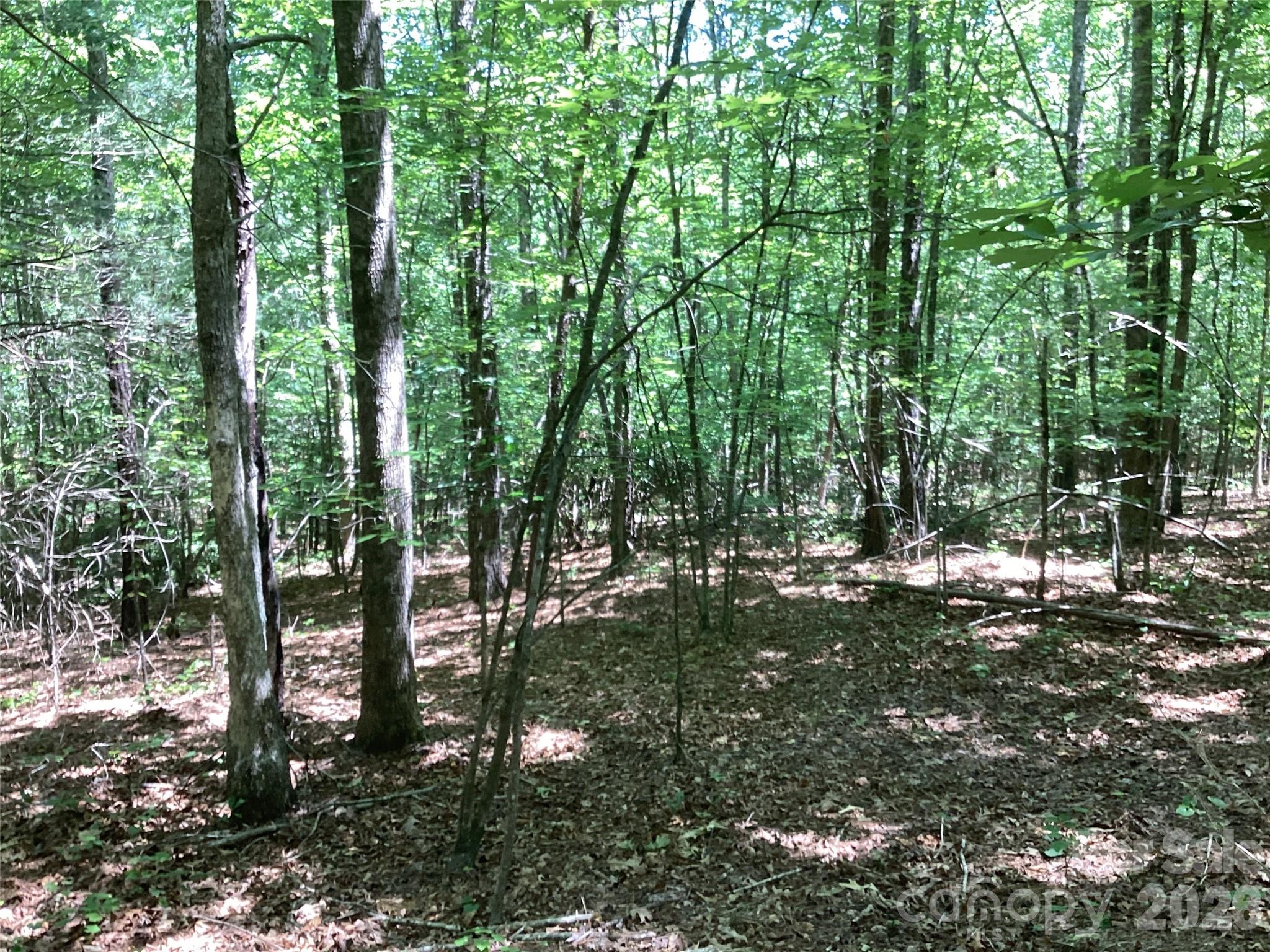 0 Powell Road Mill Spring, NC 28756 - Photo 18 of 22