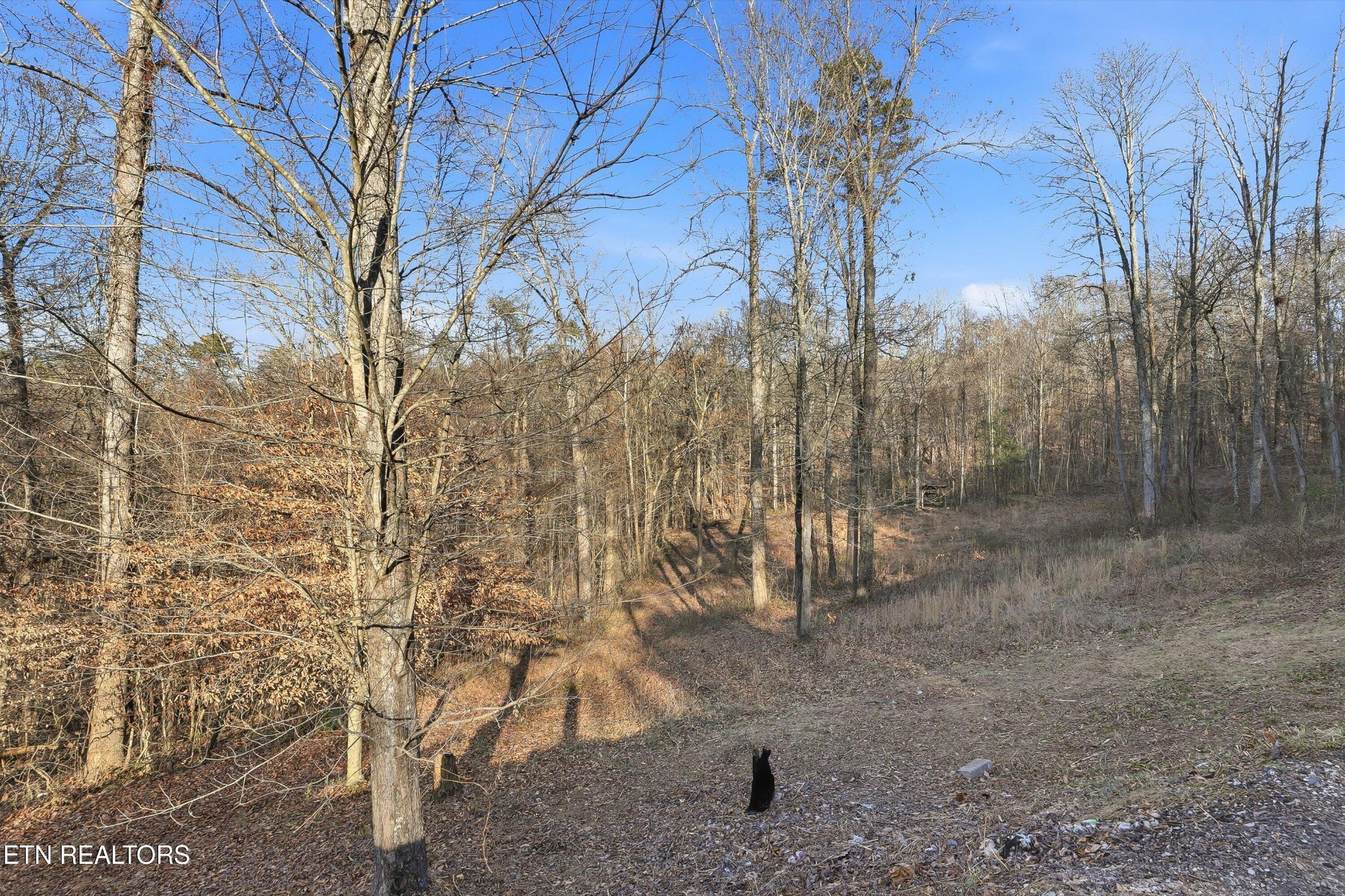 574 Peach Orchard Road Clinton, TN 37716 - Photo 25 of 27 Gallery Image 25
