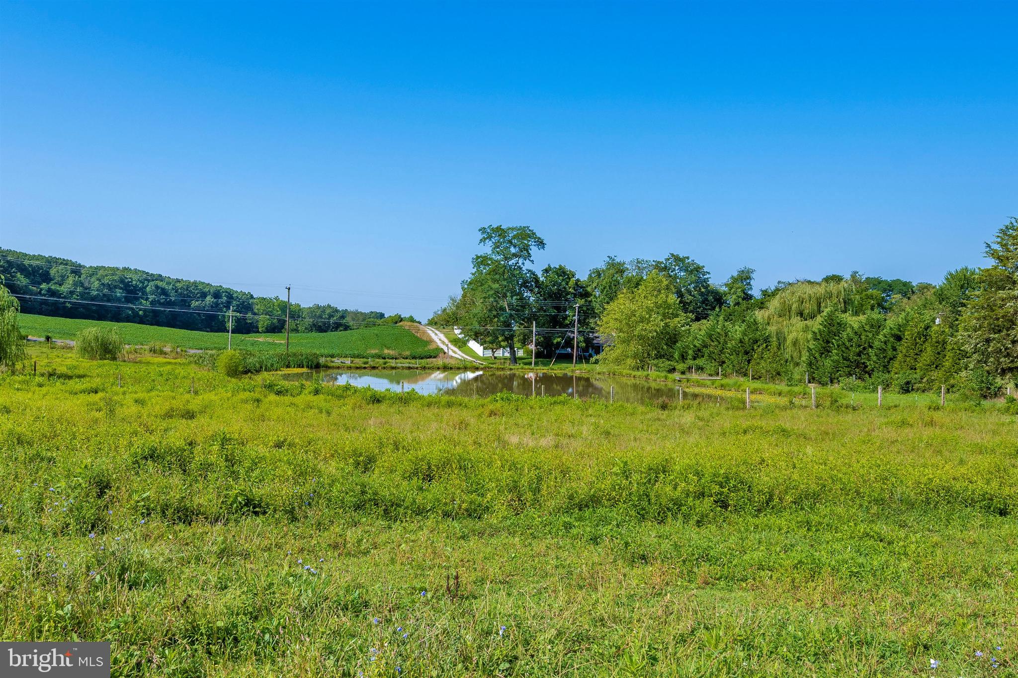 1920 Mayberry Road Westminster, MD 21158 - Photo 35 of 45 Spring Fed 1 Acre Pond
