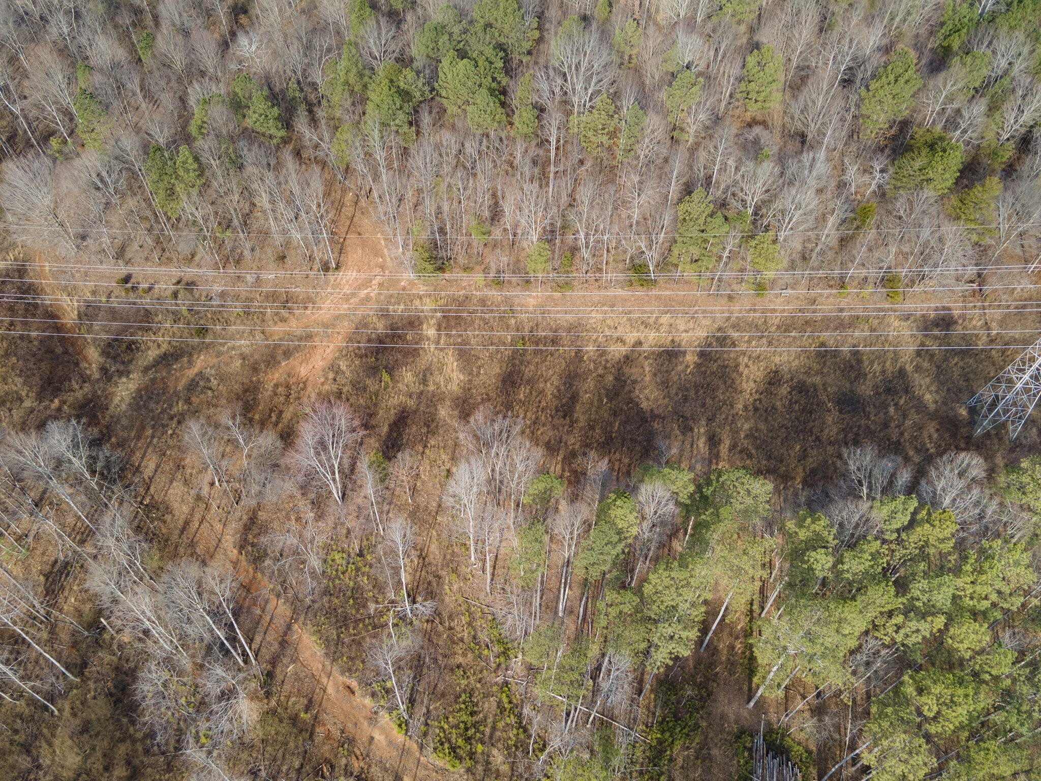 2535 County Road Athens, TN 37303 - Photo 7 of 13 Gallery Image 7