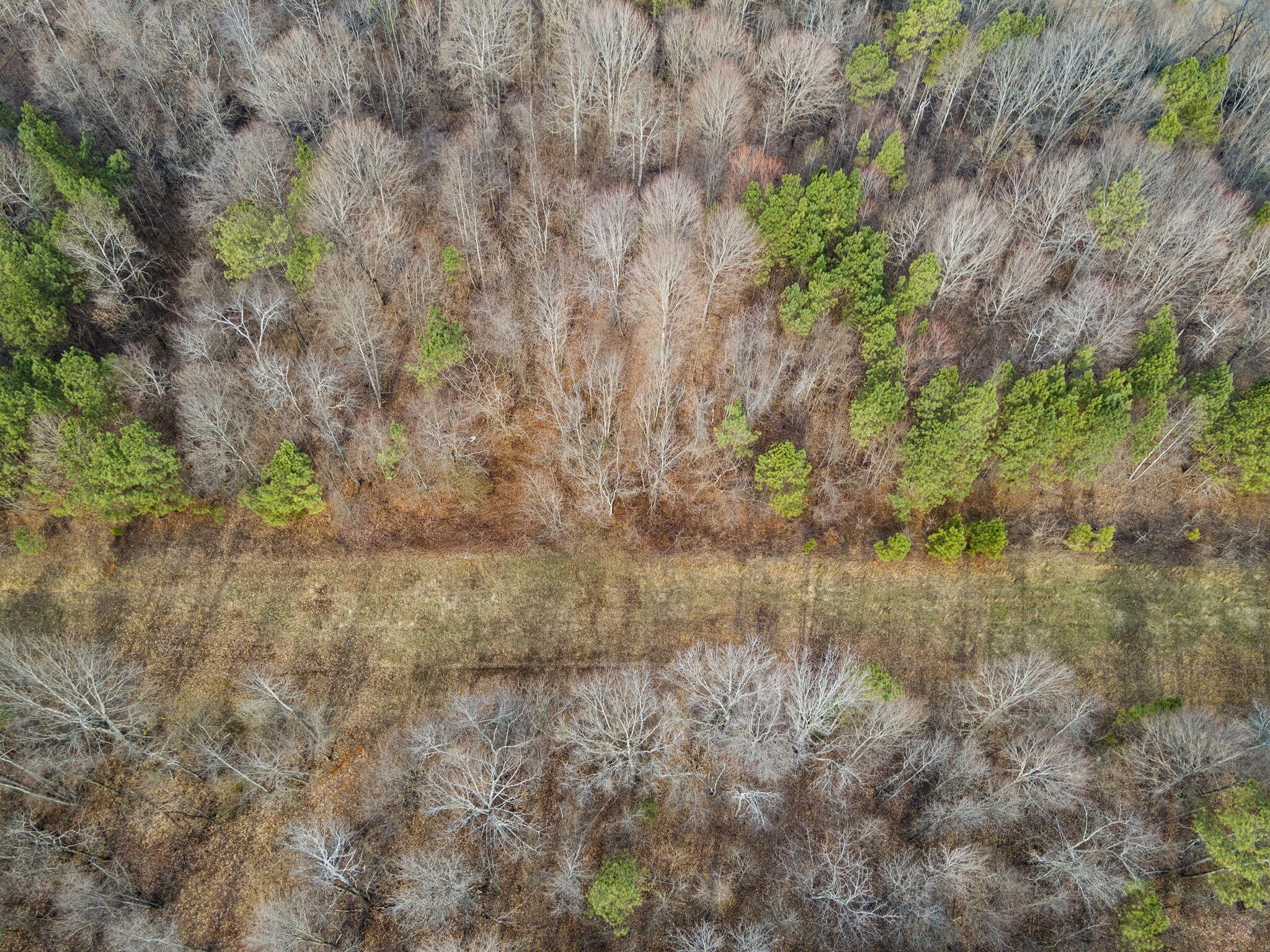 2535 County Road Athens, TN 37303 - Photo 9 of 13 Gallery Image 9