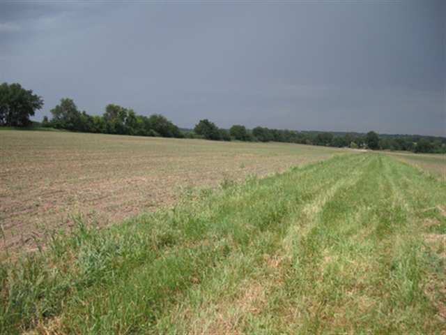 Ferry Lane Cedar Rapids, IA 52411 - Photo 2 of 3 Gallery Image 2