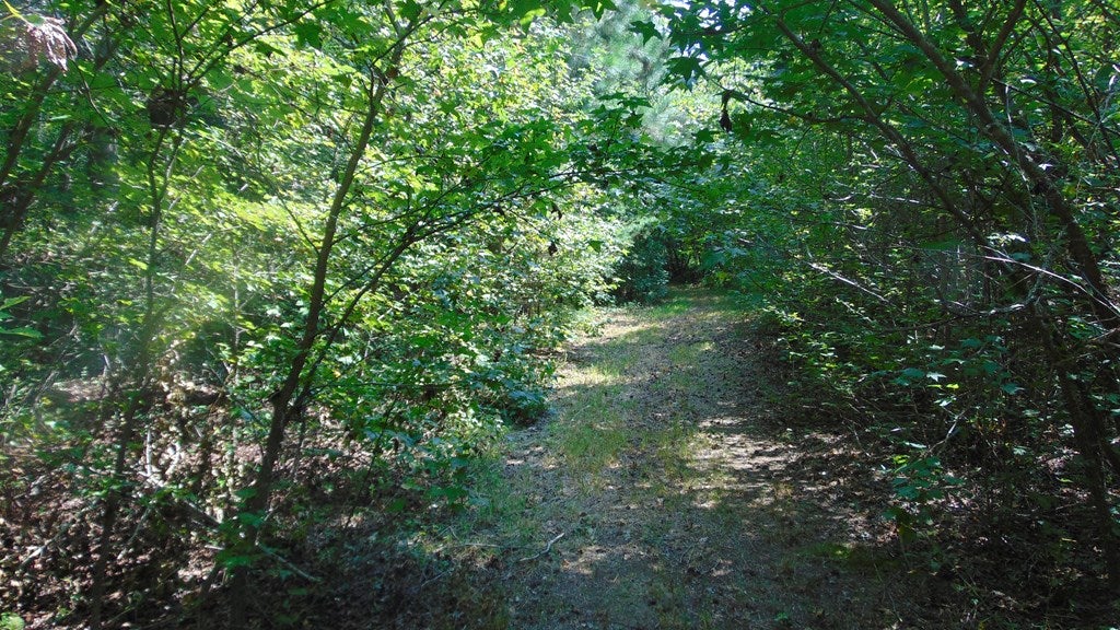 650 Mulberry Road Nathalie, VA 24577 - Photo 17 of 23 Gallery Image 17