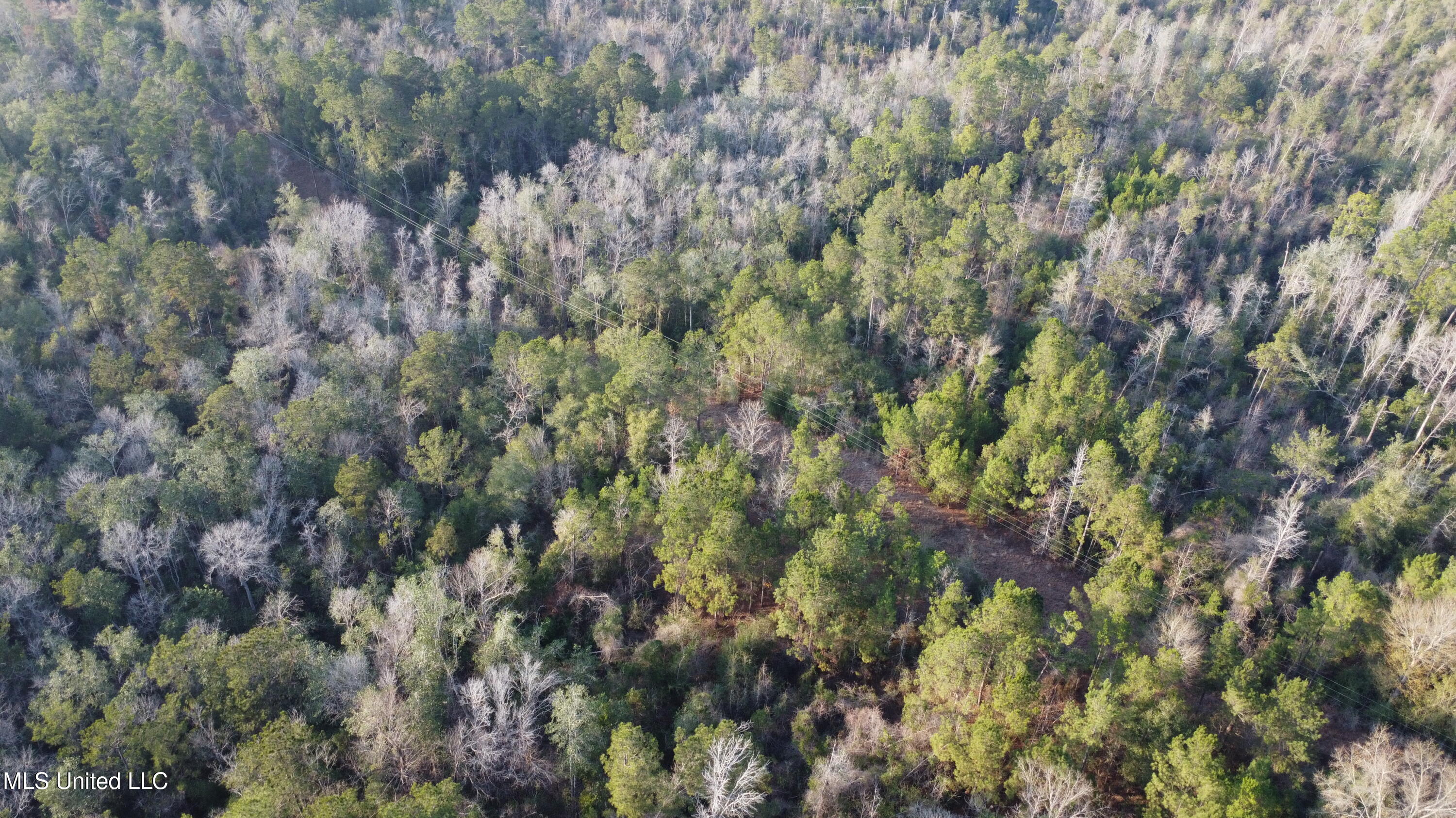 South County Line Road Columbia, MS 39429 - Photo 5 of 44 DJI_0686