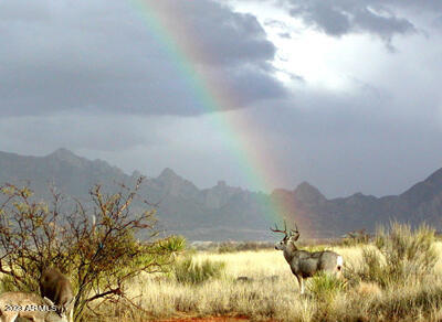 18 North Dragoon Ranch Road, Unit 18 St. David, AZ 85630 - Photo 20 of 24 RAINBOW
