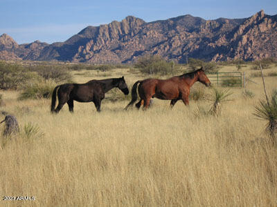 18 North Dragoon Ranch Road, Unit 18 St. David, AZ 85630 - Photo 22 of 24 HORSES