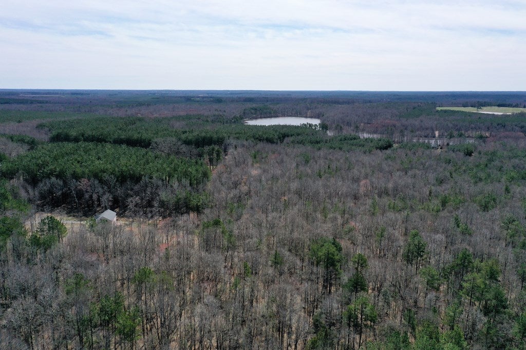 7 Colemans Lake Road Ford, VA 23850 - Photo 10 of 24 Gallery Image 10