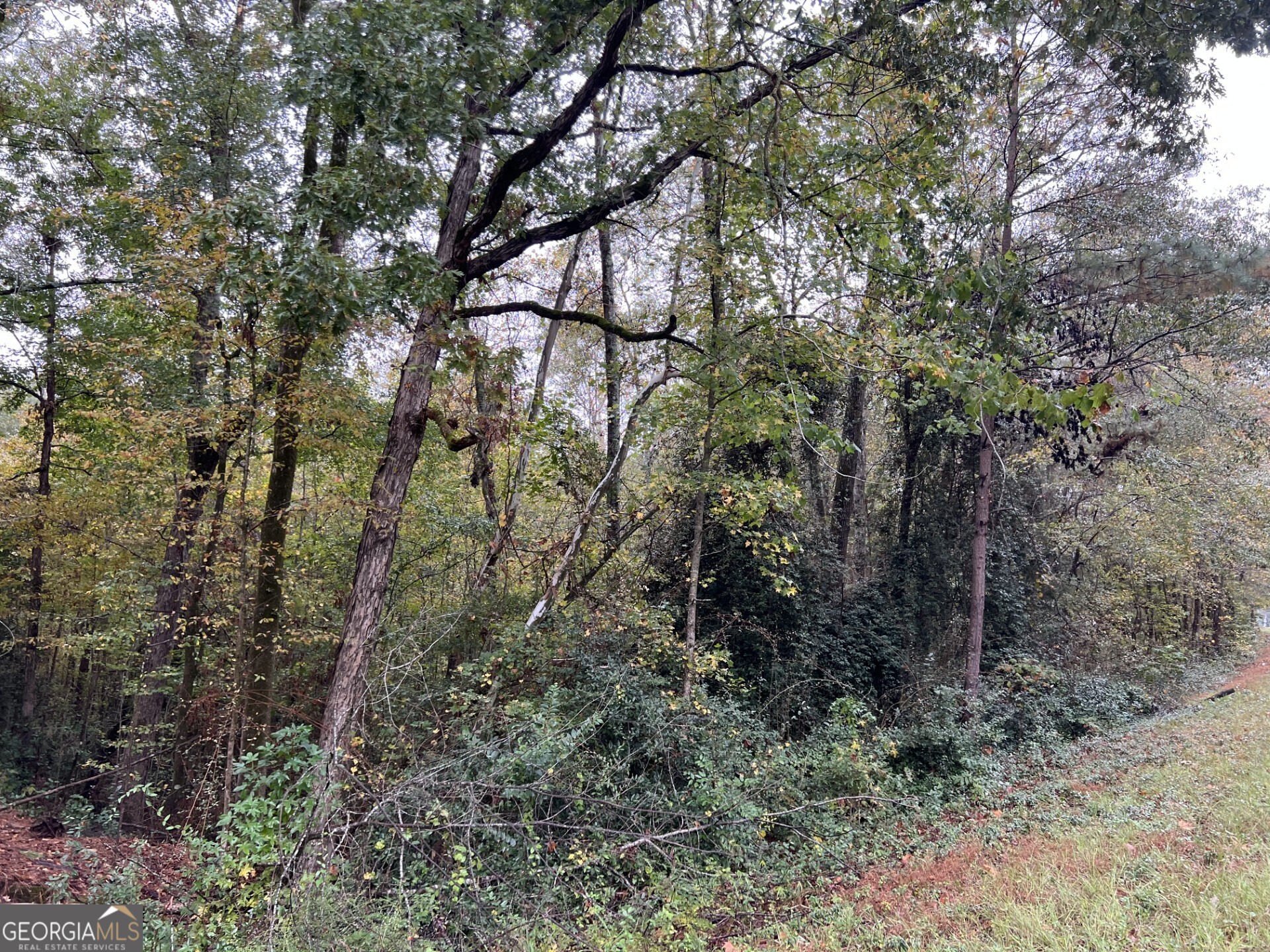 0 Clinton Crossing Gray, GA 31032 - Photo 3 of 11 a backyard of a house with lots of plants and large trees