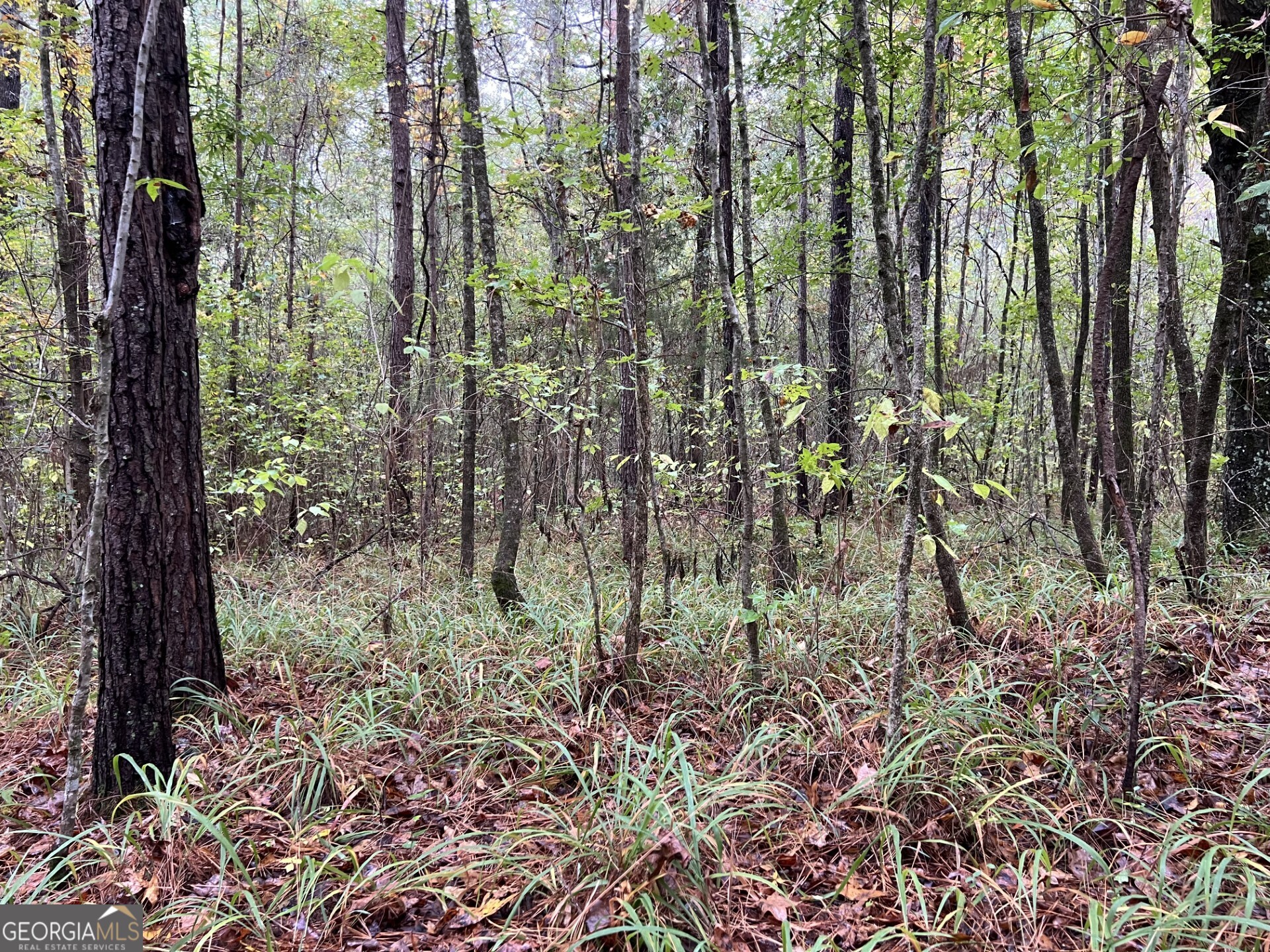 0 Clinton Crossing Gray, GA 31032 - Photo 5 of 11