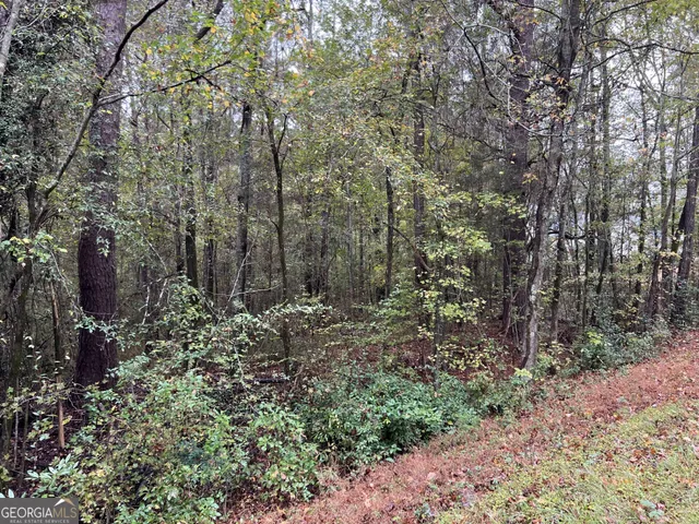 $69,000 | 0 Clinton Crossing, Gray, GA 31032