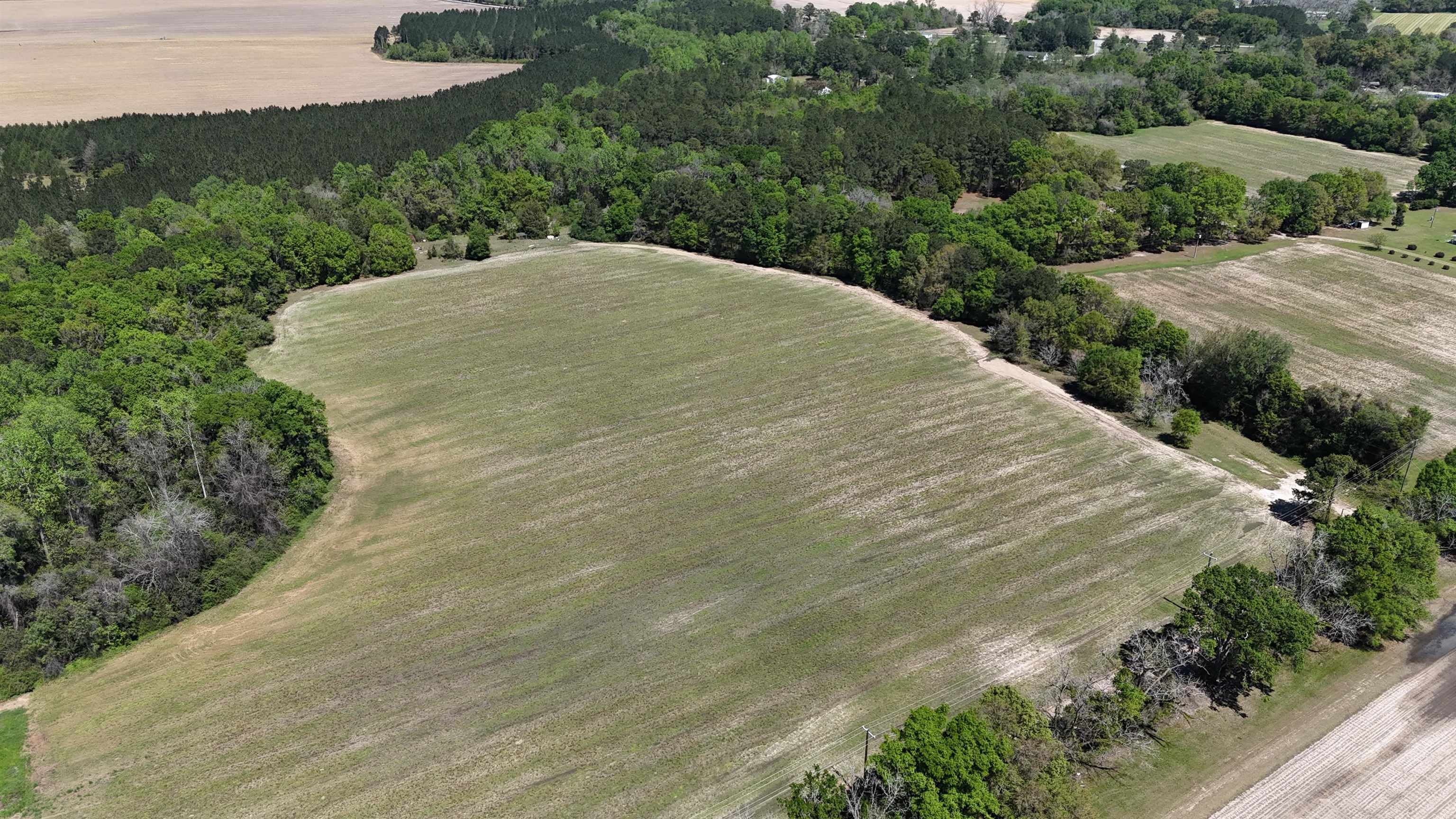 1975 Rook Road Ochlocknee, GA 31773 - Photo 3 of 42