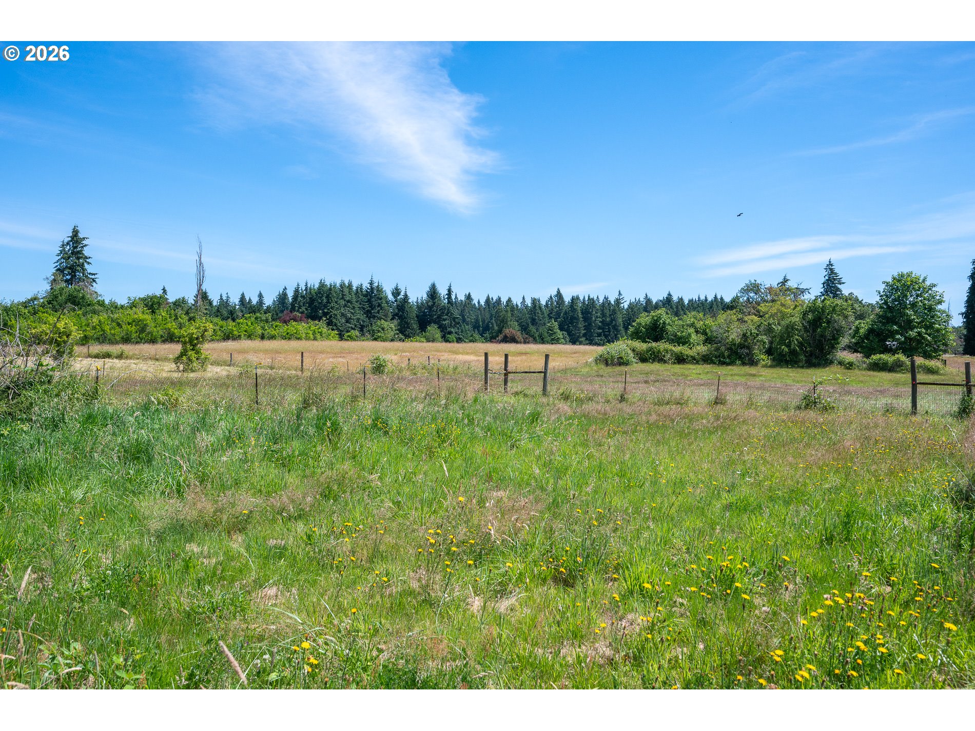 19517 Northwest 41st Avenue Ridgefield, WA 98642 - Photo 31 of 46