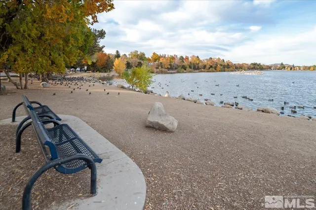 a view of a dry yard