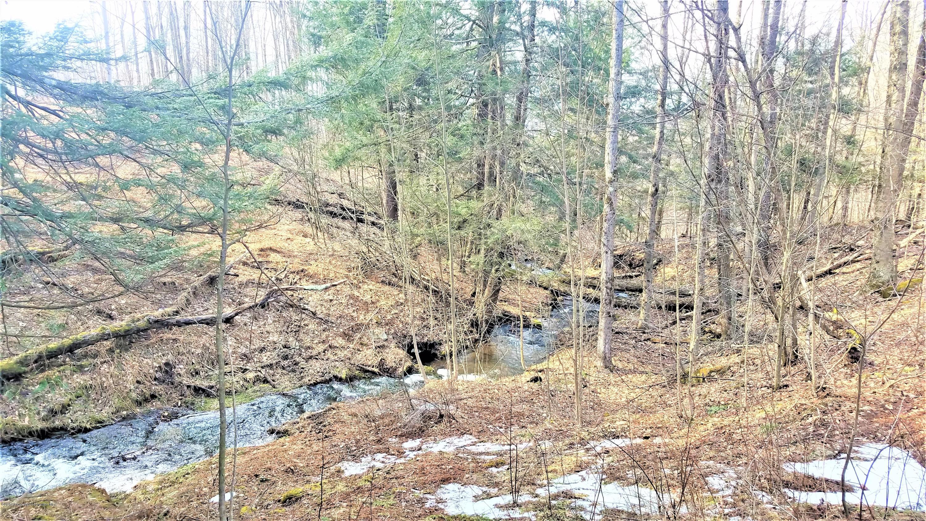 1836 Wrighter Lake Road Thompson, PA 18465 - Photo 10 of 12 Stream