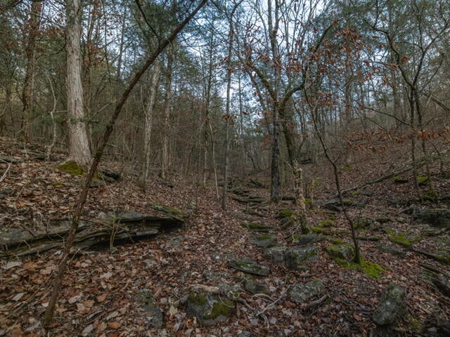 13789 North Branch Road Omaha, AR 72662 - Photo 11 of 24 IMG_7364