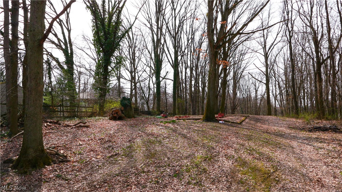 598 Randolph Road Mogadore, OH 44260 - Photo 24 of 31