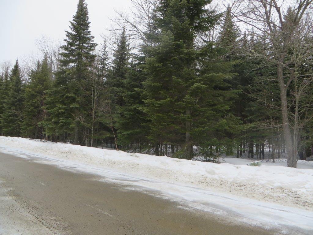 64-3 Pressure Ridge Road Rangeley, ME 04970 - Photo 4 of 4 Photo