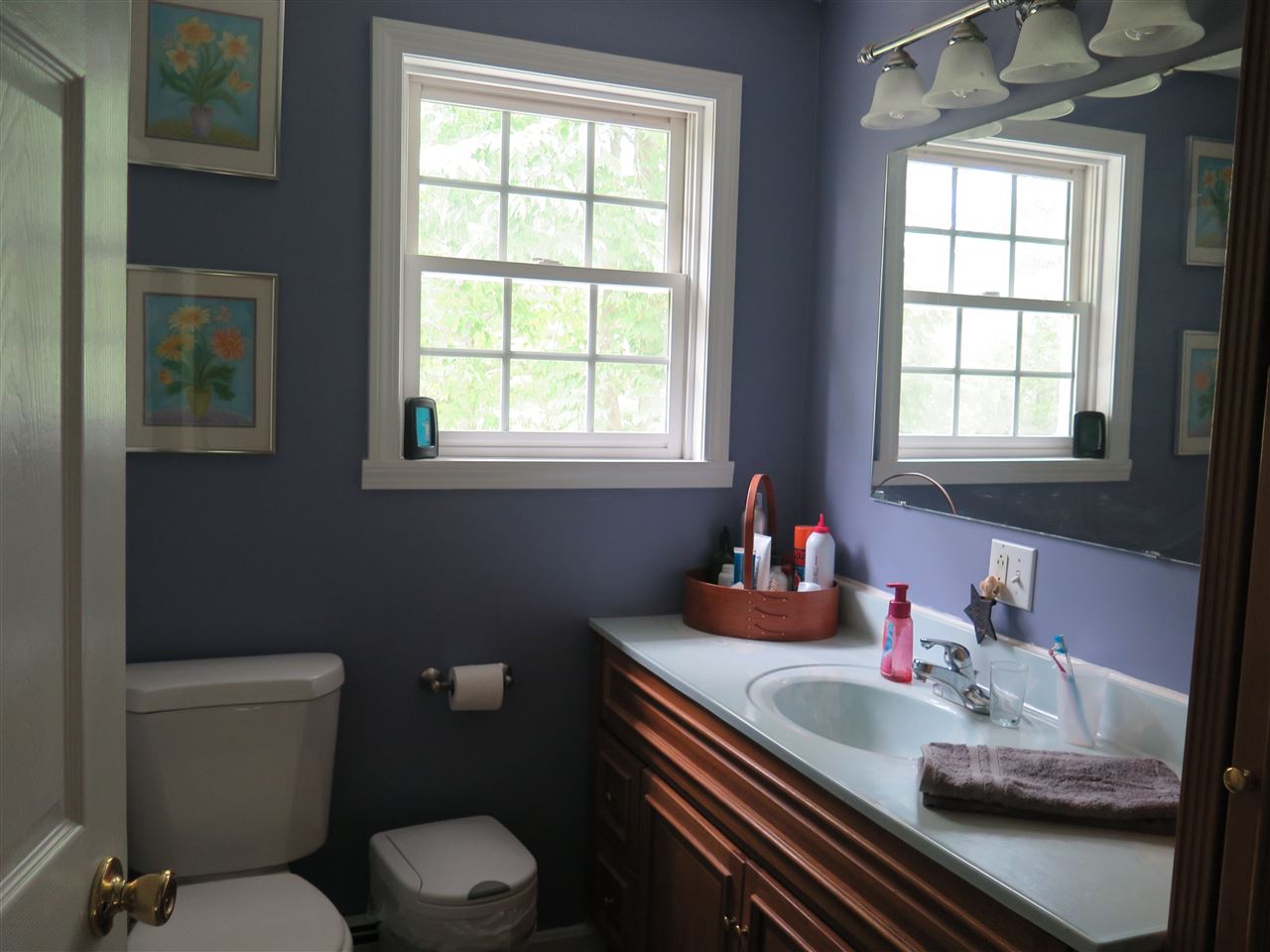1170 River Road Weare, NH 03281 - Photo 18 of 25 Gallery Image 18