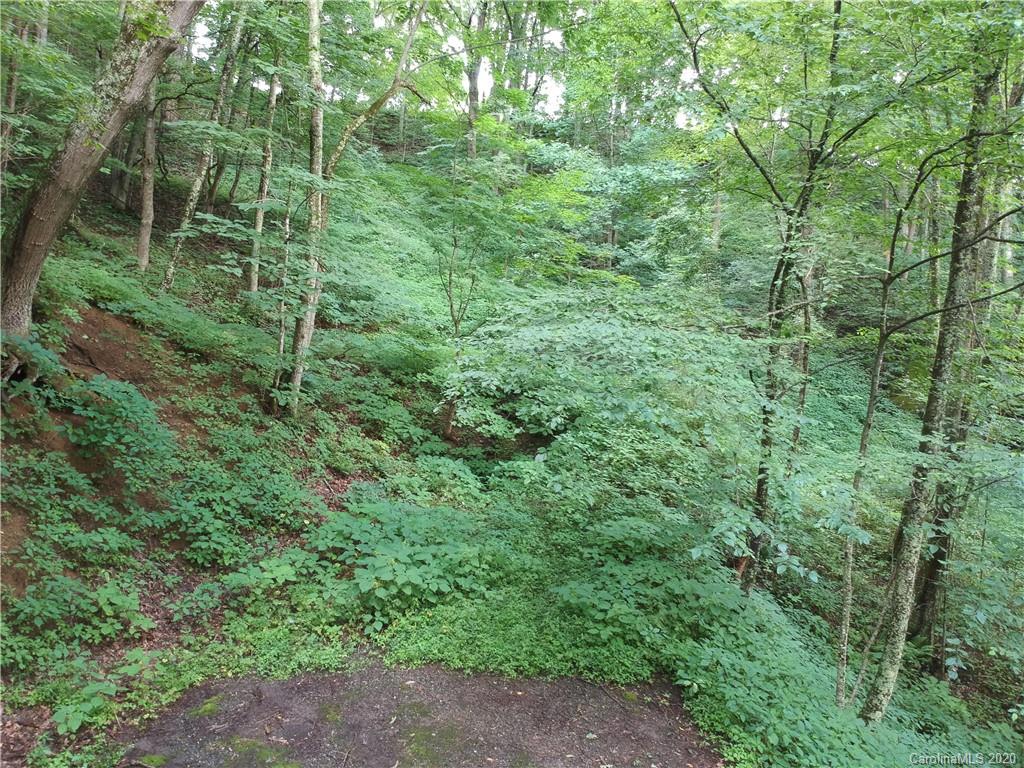 0 Hemlock Springs Road, Unit 7A Clyde, NC 28721 - Photo 1 of 1