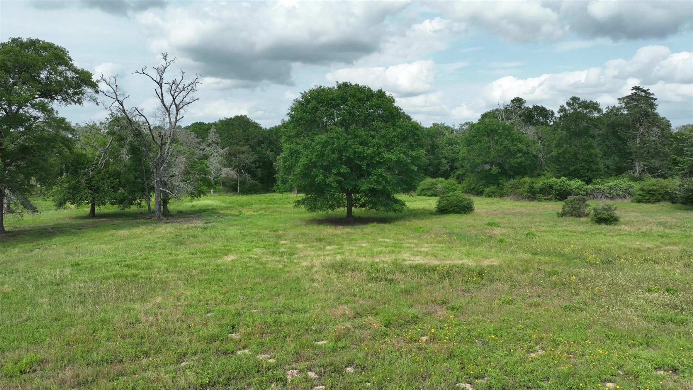 17718 Tranquil Lane Cat Spring, TX 78933 - Photo 11 of 13 a backyard of a house with lots of green space