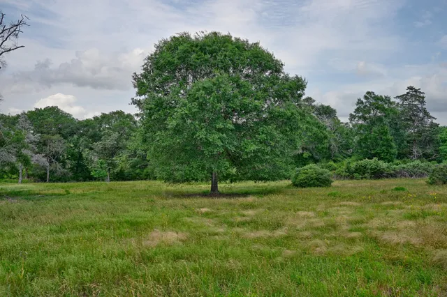 $633,555 | 17718 Tranquil Lane, Cat Spring, TX 78933