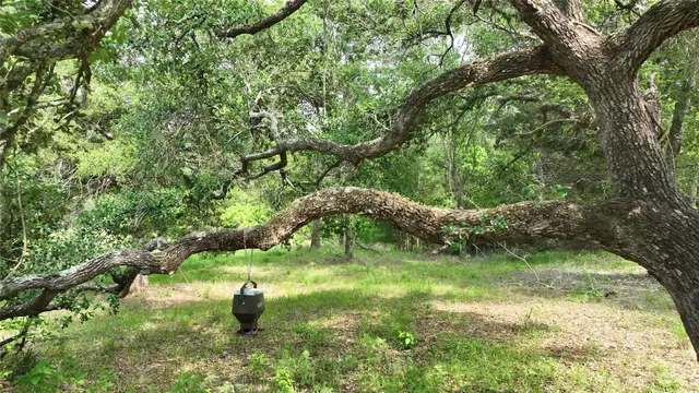 $633,555 | 17718 Tranquil Lane, Cat Spring, TX 78933