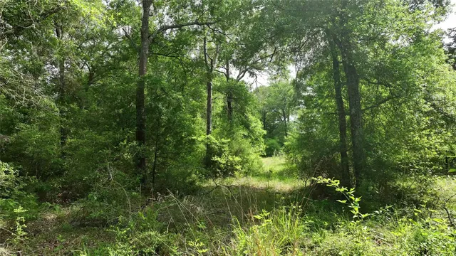 $633,555 | 17718 Tranquil Lane, Cat Spring, TX 78933