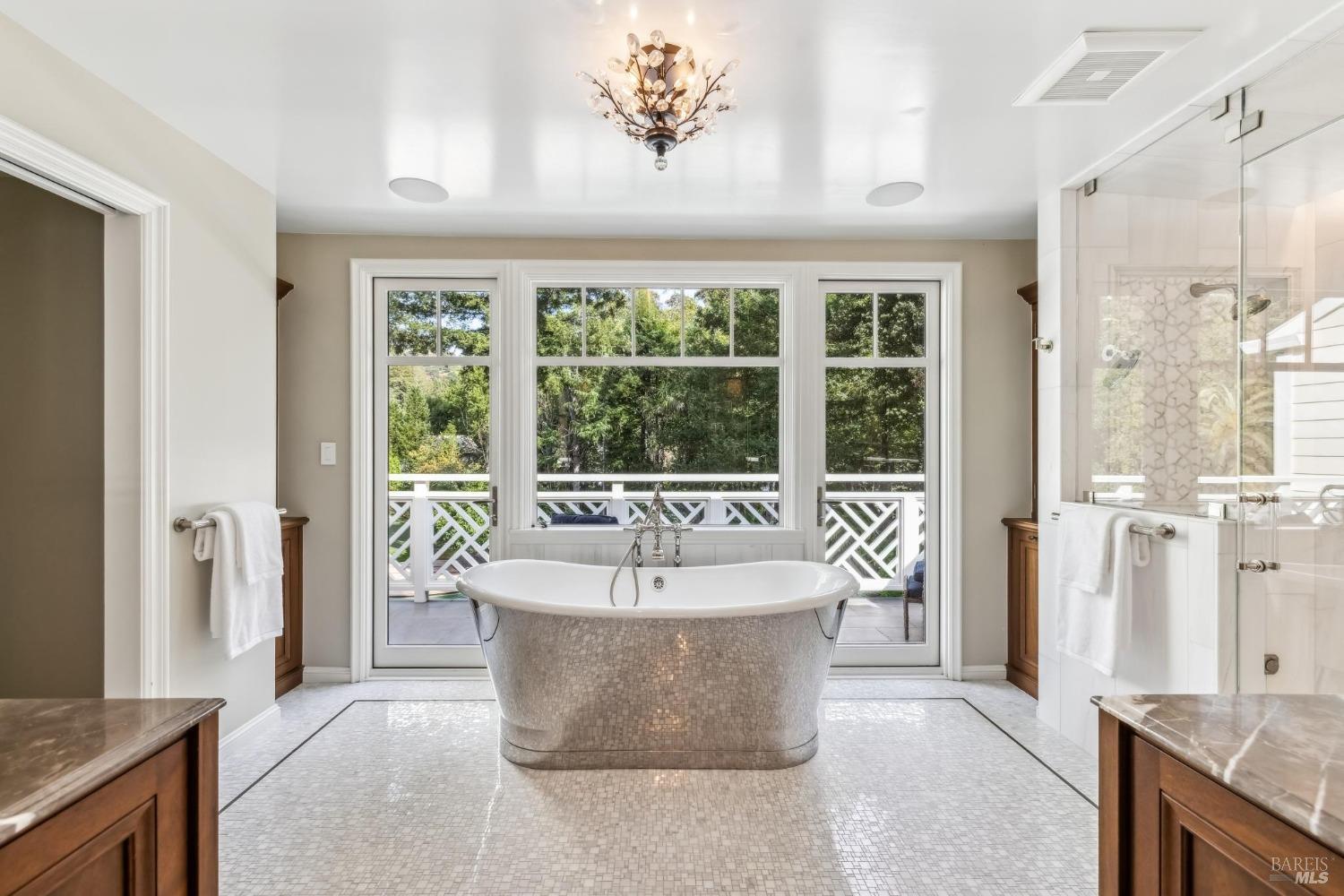 110 Mountain View Avenue San Rafael, CA 94901 - Photo 11 of 83 Primary bath with Soaking tub, Steam Shower and View Balcony