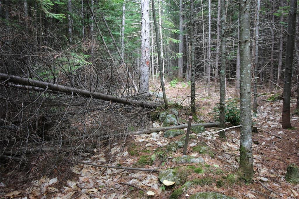 Tbd Westwood Road Bethel, ME 04217 - Photo 13 of 15 Photo