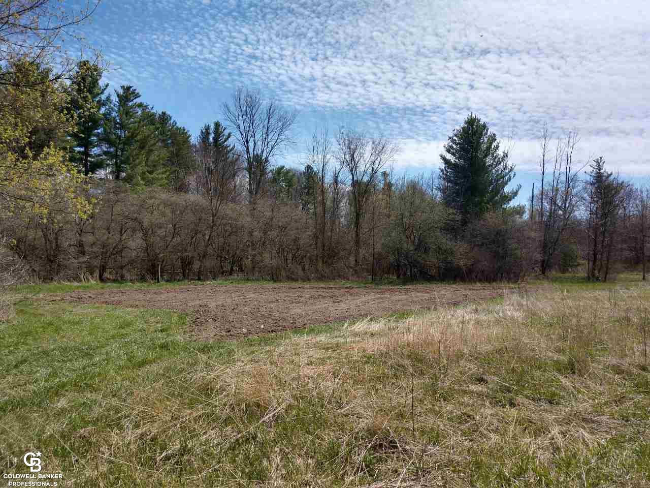 Kilburn Rd Ville Jeddo, MI 48032 - Photo 3 of 11
