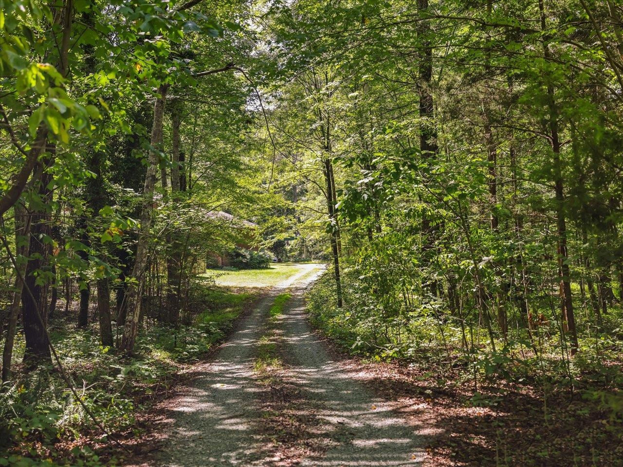 4301 Amberwood Road Haw River, NC 27258 - Photo 67 of 70 Driveway