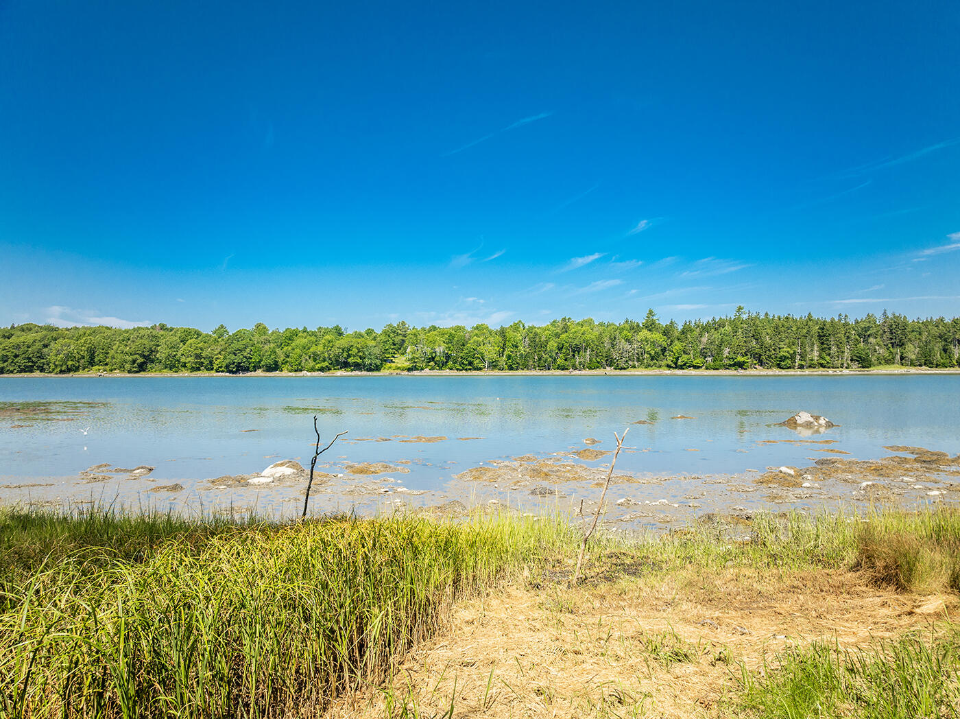 640 River Road Tenants Harbor, ME 04860 - Photo 6 of 75 DJI_0922
