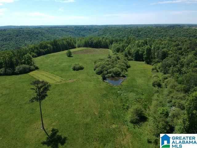 0 Pea Ridge Circle, Unit 424 Union Grove, AL 35175 - Photo 5 of 49
